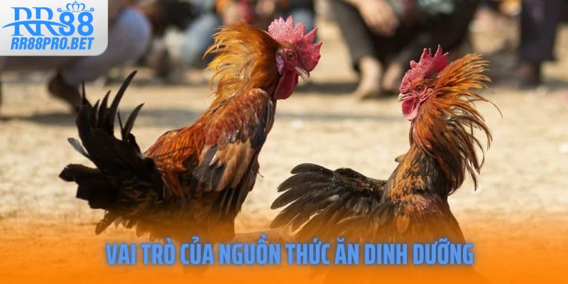 Vai trò của nguồn thức ăn dinh dưỡng